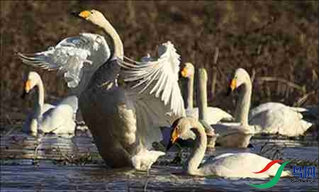 B17P4683-31 - ����.jpg