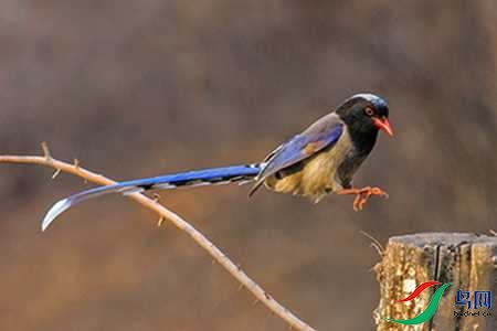 B17P4645 - ����.jpg