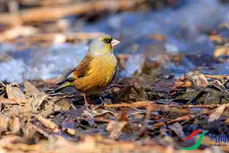 B17P4009 - ����.jpg