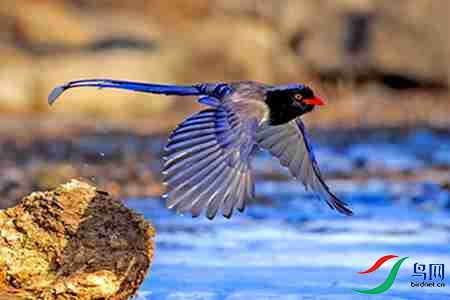 B17P3535 - ����.jpg