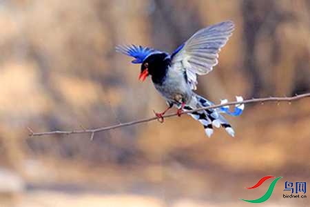 B17P3537 - ����.jpg