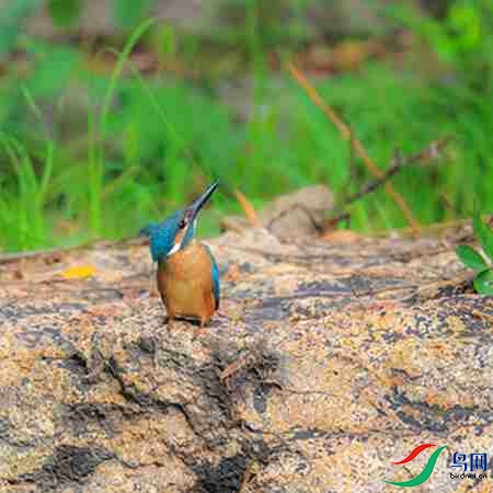 B17P3314 - ����.jpg