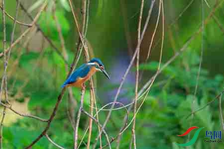 B17P3140 - ����.jpg