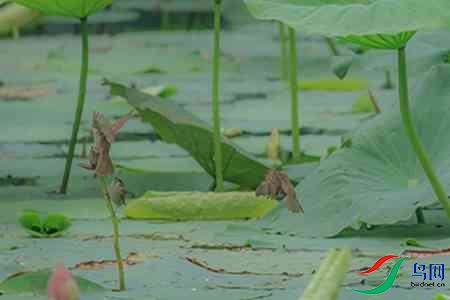 B17P0051 - ����.jpg