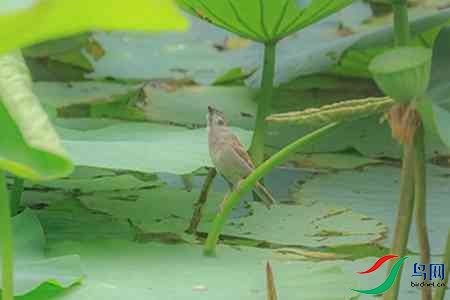 B17P0026 - ����.jpg