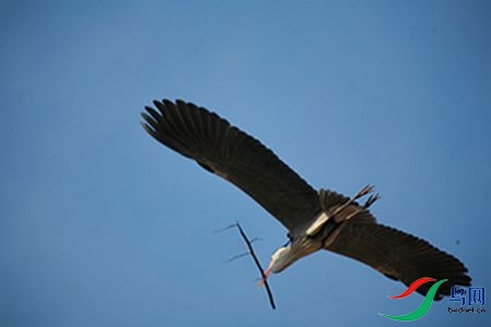 IMG_0060 - ����.jpg