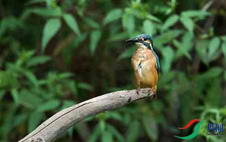 B17P3209 - ����.jpg