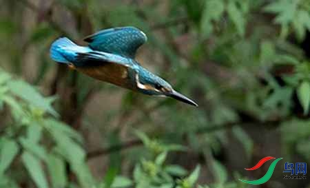 B17P3010 - ����.jpg