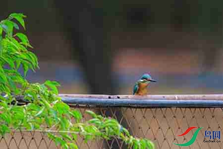 B17P2983 - ����.jpg