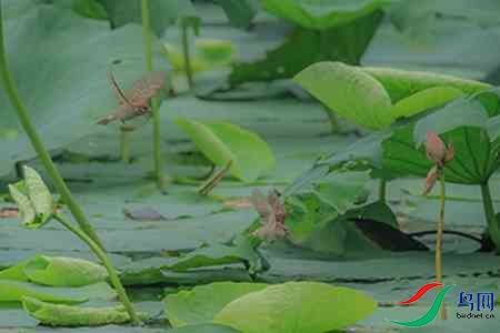 B17P0070 - ����.jpg