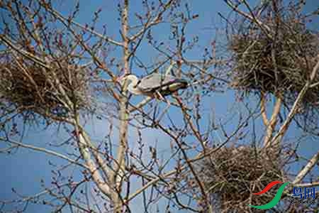 IMG_0026 - ����.jpg