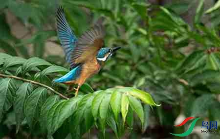 B17P2914 - ����.jpg