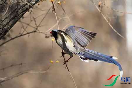 B17P0877-0 - ����.jpg