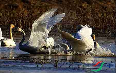 5B17P4674-4 - ����.jpg