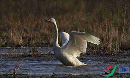 6B17P5062-2 - ����.jpg