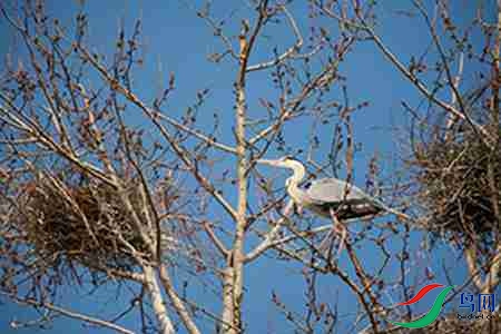 IMG_0050 - ����.jpg