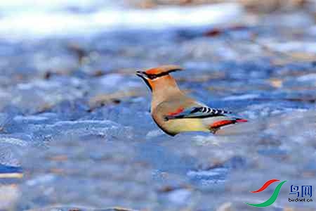 B17P4080 - ����.jpg