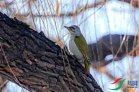 B17P3900 - ����.jpg