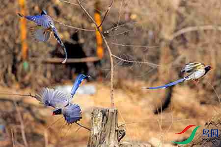 B17P4056 - ����.jpg