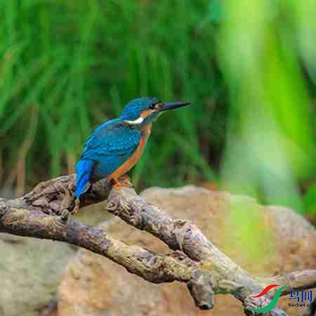 B17P3298 - ����.jpg