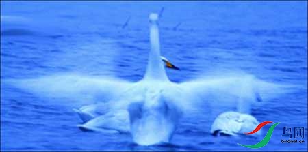 10BK5I3726-14 - ����.jpg