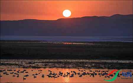 9B17P5982-41 - ����.jpg