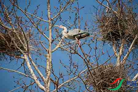 IMG_0041 - ����.jpg