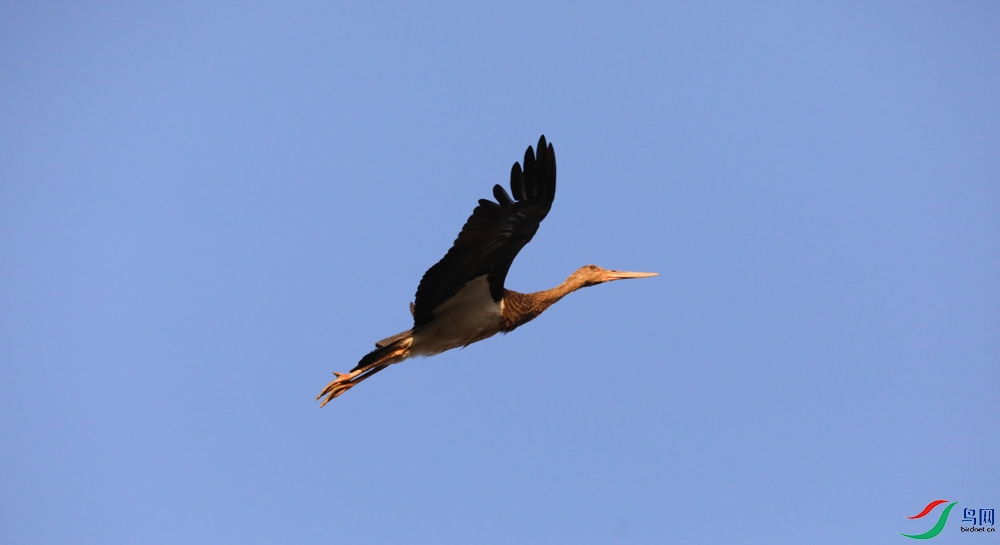 A76A3165.JPG