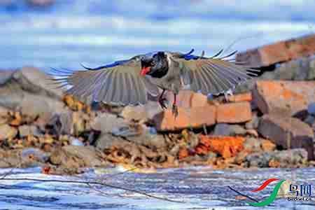 B17P3562 - ����.jpg