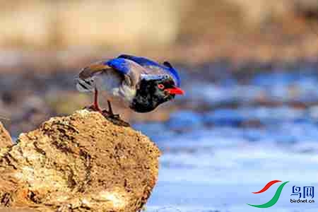 B17P3534 - ����.jpg