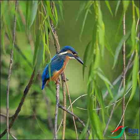 B17P3137��2 - ����.jpg