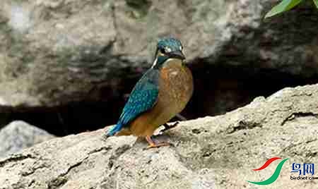 B17P2936 - ����.jpg