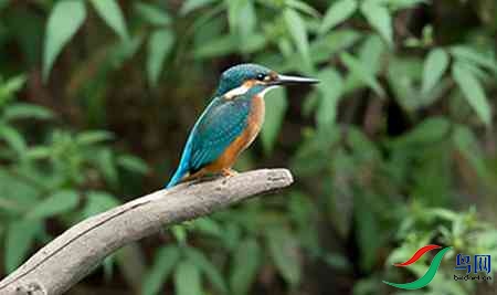 B17P2990 - ����.jpg