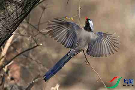 B17P0875-0 - ����.jpg