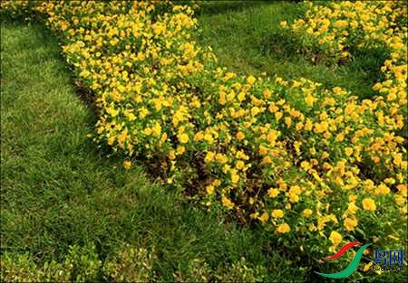 BK5I0961-�� (2).jpg