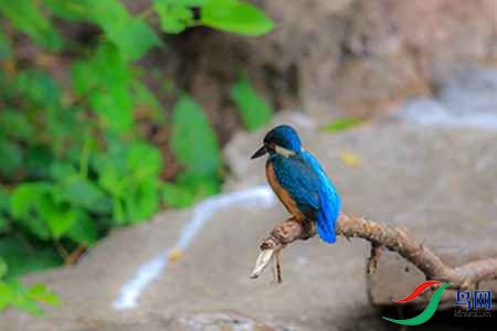 B17P3032 - ����.jpg