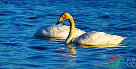 12BK5I3602-3 - ����.jpg