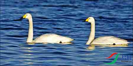 5 -2 - ����.jpg