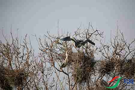 IMG_0055 - ����.jpg