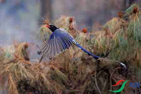 B17P4406 - ����.jpg