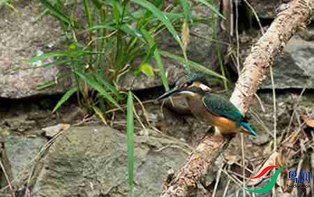 B17P3230 - ����.jpg