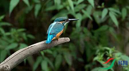 B17P2999 - ����.jpg