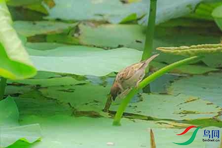 B17P0023 - ����.jpg