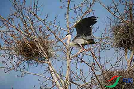 IMG_0023 - ����.jpg