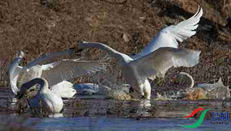 B17P4506 - ����.jpg