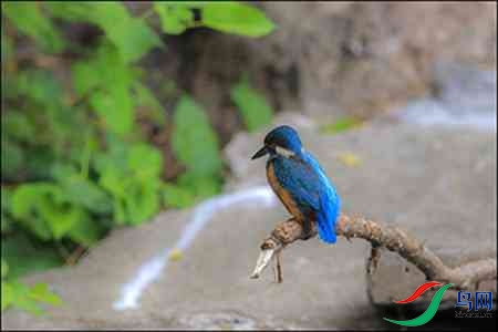 B17P3032-10 - ����.jpg