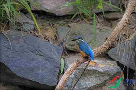 B17P3015-9 - ����.jpg