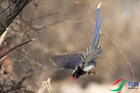 B17P0882-0 - ����.jpg