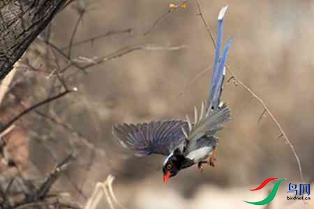 B17P0882-0- - ����.jpg