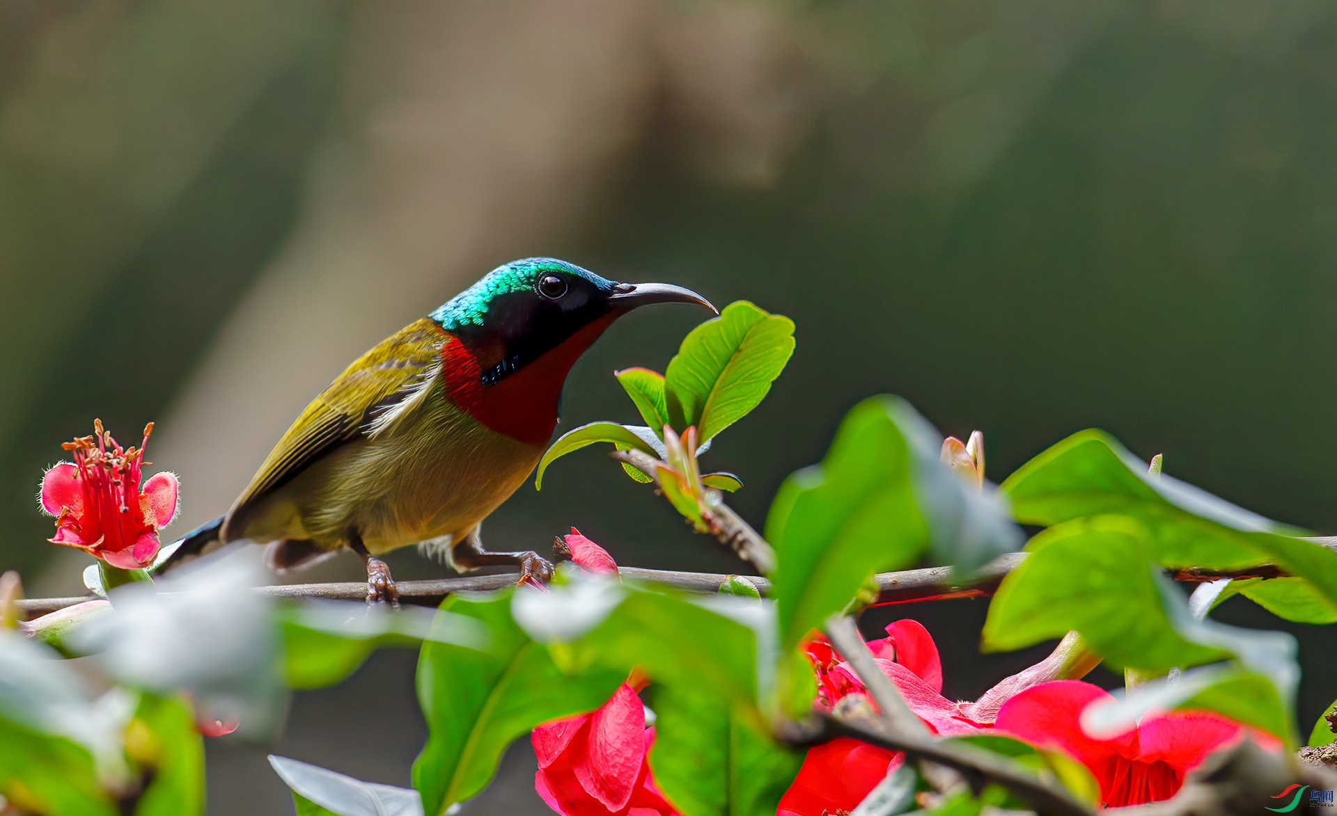 DSC_4602.jpg